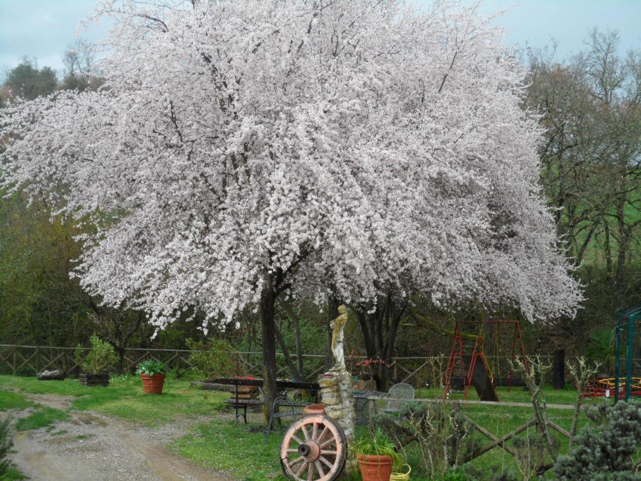 Locanda Delle Noci Перуджа Екстер'єр фото